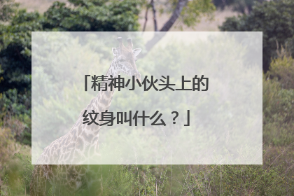 精神小伙头上的纹身叫什么？