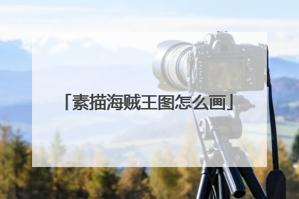 素描海贼王图怎么画