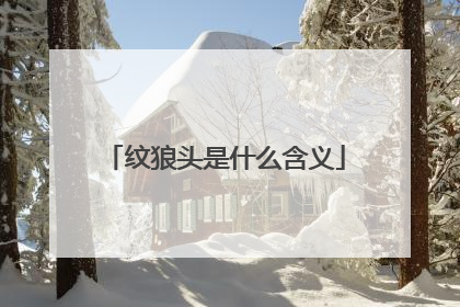 纹狼头是什么含义