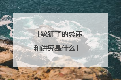 纹狮子的忌讳和讲究是什么