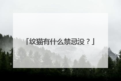 纹猫有什么禁忌没？