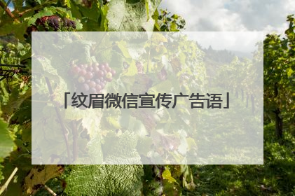 纹眉微信宣传广告语
