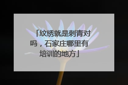 纹绣就是刺青对吗，石家庄哪里有培训的地方