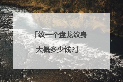 纹一个盘龙纹身大概多少钱?