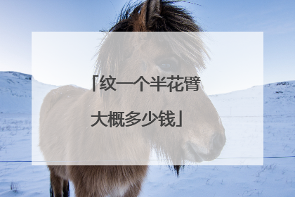 纹一个半花臂大概多少钱