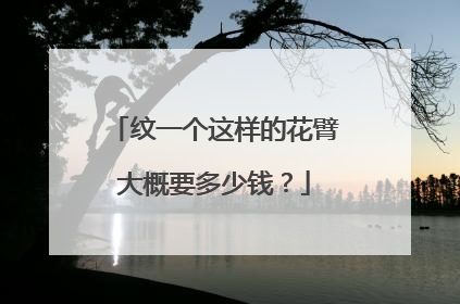纹一个这样的花臂大概要多少钱？