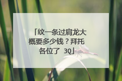 纹一条过肩龙大概要多少钱？拜托各位了 3Q