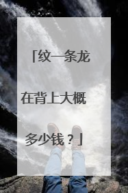 纹一条龙在背上大概多少钱？