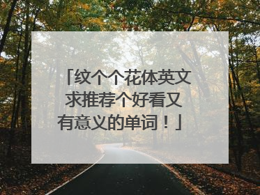 纹个个花体英文 求推荐个好看又有意义的单词！