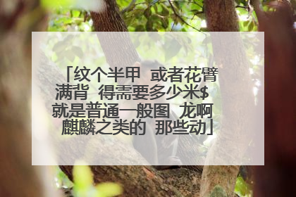 纹个半甲 或者花臂 满背 得需要多少米$ 就是普通一般图 龙啊 麒麟之类的 那些动