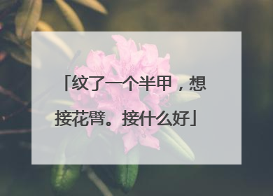 纹了一个半甲，想接花臂。接什么好