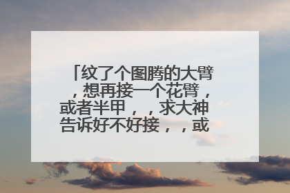 纹了个图腾的大臂，想再接一个花臂，或者半甲，，求大神告诉好不好接，，或者接什么更好看？