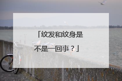 纹发和纹身是不是一回事？