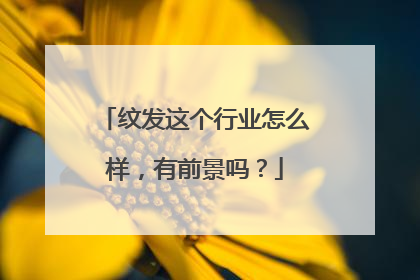 纹发这个行业怎么样，有前景吗？