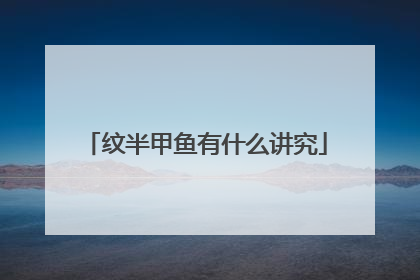 纹半甲鱼有什么讲究