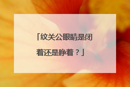 纹关公眼睛是闭着还是睁着？