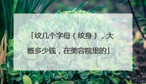 纹几个字母（纹身），大概多少钱，在美容院里的