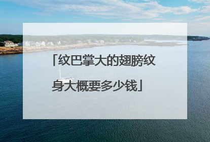 纹巴掌大的翅膀纹身大概要多少钱