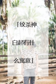 纹杀神白起有什么寓意