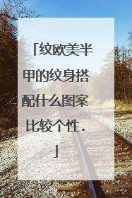 纹欧美半甲的纹身搭配什么图案比较个性.