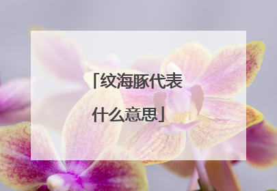 纹海豚代表什么意思