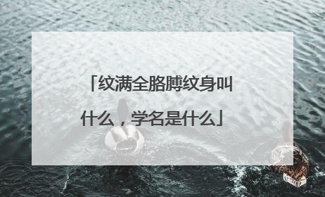 纹满全胳膊纹身叫什么，学名是什么