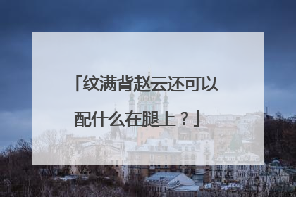 纹满背赵云还可以配什么在腿上？