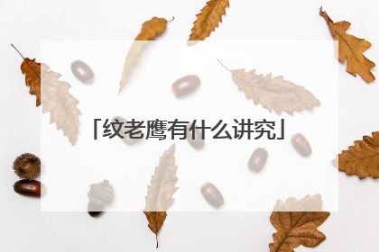 纹老鹰有什么讲究