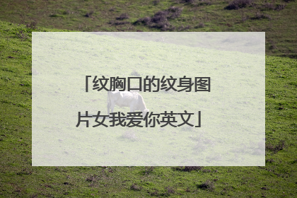 纹胸口的纹身图片女我爱你英文