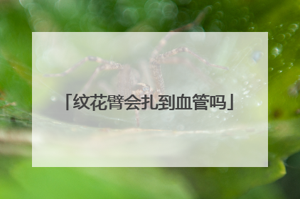 纹花臂会扎到血管吗