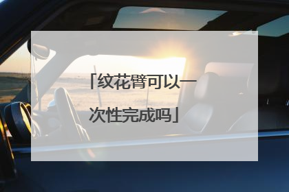 纹花臂可以一次性完成吗