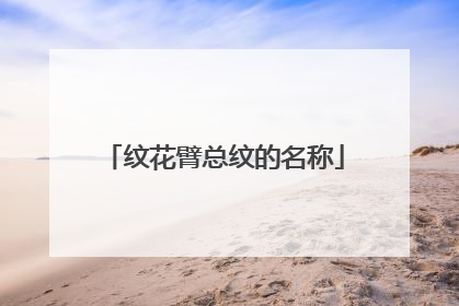 纹花臂总纹的名称