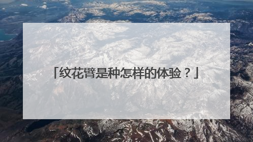 纹花臂是种怎样的体验？