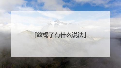 纹蝎子有什么说法