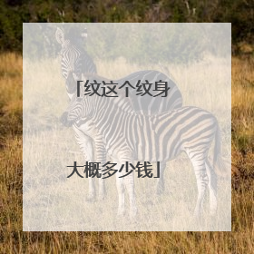 纹这个纹身大概多少钱