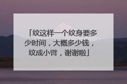纹这样一个纹身要多少时间，大概多少钱，纹成小臂，谢谢啦