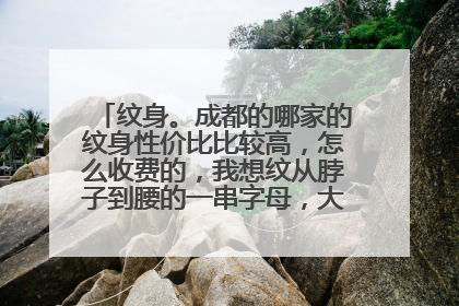 纹身。成都的哪家的纹身性价比比较高,怎么收费的,我想纹从脖子到腰的一串字母,大概多少钱。