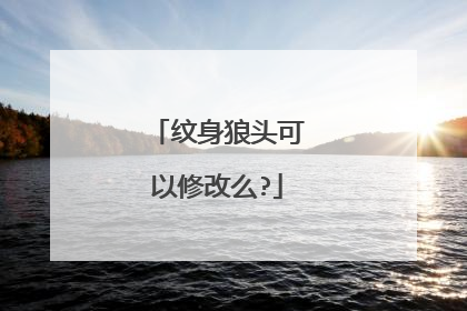 纹身狼头可以修改么?