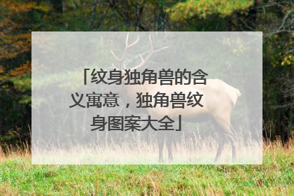 纹身独角兽的含义寓意，独角兽纹身图案大全