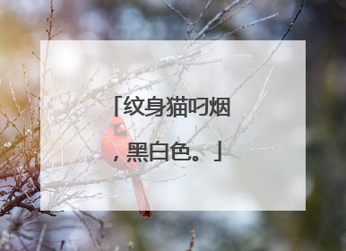 纹身猫叼烟，黑白色。