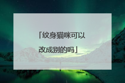 纹身猫咪可以改成别的吗