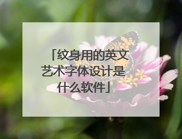 纹身用的英文艺术字体设计是什么软件