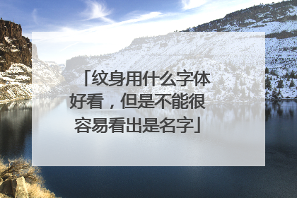 纹身用什么字体好看,但是不能很容易看出是名字