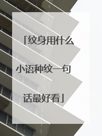 纹身用什么小语种纹一句话最好看