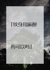 纹身用麻醉药可以吗