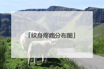 纹身疼痛分布图