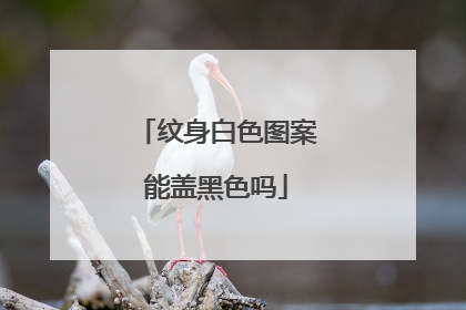 纹身白色图案能盖黑色吗