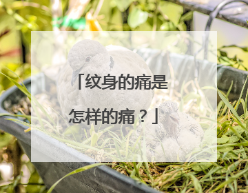 纹身的痛是怎样的痛？