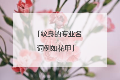 纹身的专业名词例如花甲
