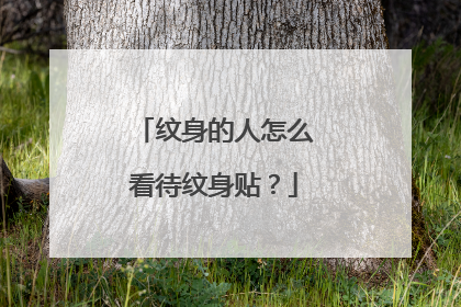 纹身的人怎么看待纹身贴?